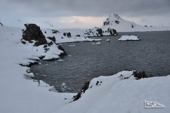 O visual gelado de Half Moon Island, na Antártida